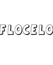 FLOCELO