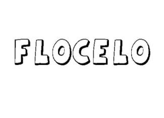 FLOCELO