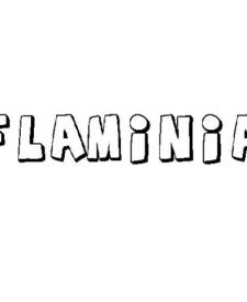 FLAMINIA