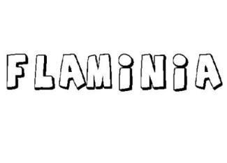 FLAMINIA