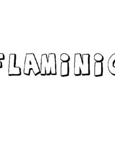 FLAMINIO