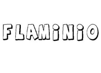 FLAMINIO
