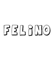 FELINO