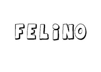 FELINO