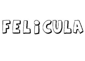 FELÍCULA