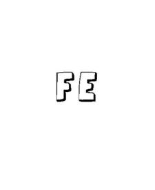 FE