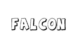 FALCÓN