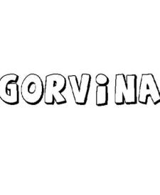 GORVINA