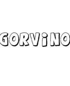 GORVINO