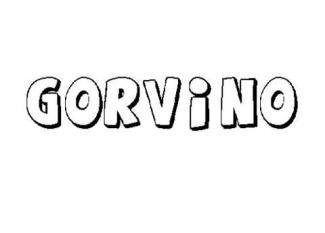 GORVINO