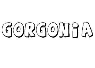 GORGONIA