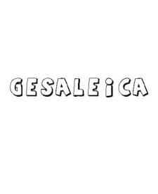 GESALEICA