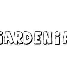 GARDENIA