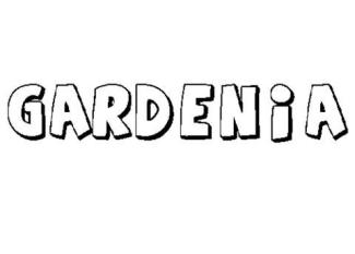 GARDENIA