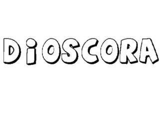 DIÓSCORA