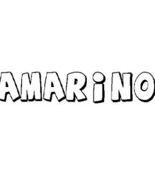 AMARINO