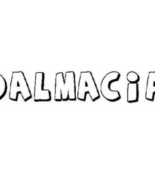 DALMACIA