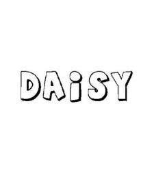 DAISY