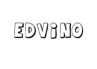 EDVINO