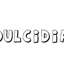 DULCIDIA