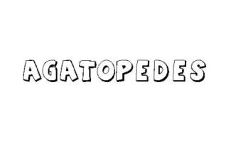 AGATÓPEDES