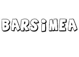 BARSIMEA