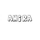 AMIRA 