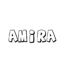 AMIRA 
