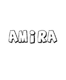 AMIRA 