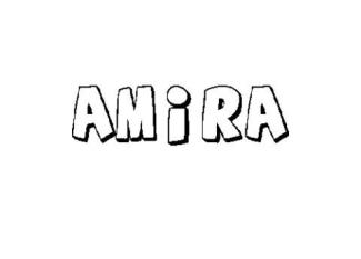 AMIRA 