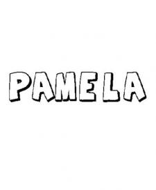 PAMELA