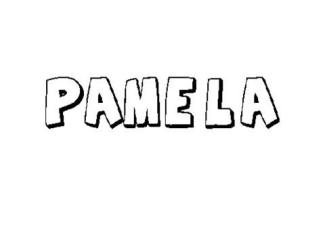 PAMELA