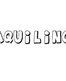 AQUILINO 