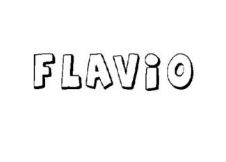 FLAVIO 