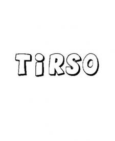 TIRSO 