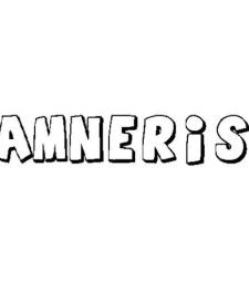 AMNERIS