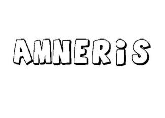 AMNERIS