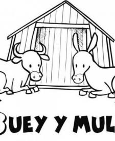 Buey y mula para colorear. Dibujos del Belén de Navidad para niños