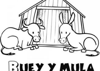 Buey y mula para colorear. Dibujos del Belén de Navidad para niños