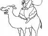 Dibujo de Rey Baltasar sobre su camello para niños