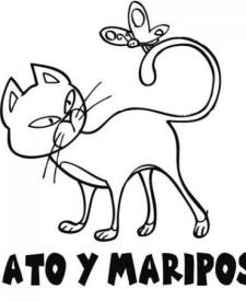 Mariposa y gato