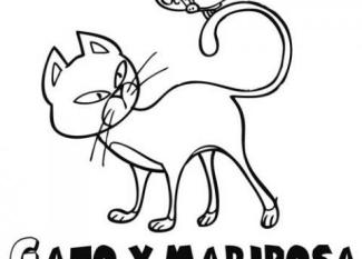 Mariposa y gato