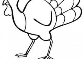 Dibujo de pavo para imprimir y colorear con los niños