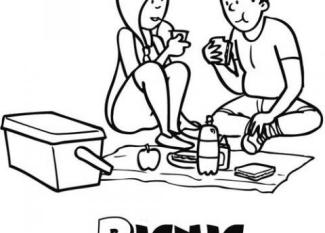 Picnic