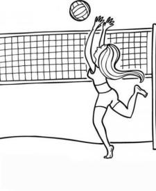 Voleibol