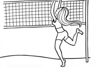Voleibol