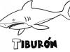 Tiburón