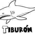 Tiburón