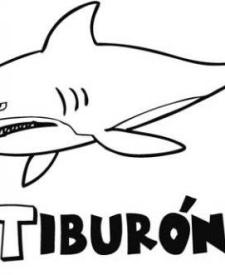 Tiburón