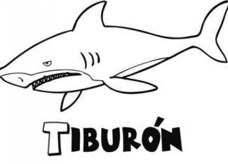 Tiburón